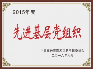 2015先進基層黨組織