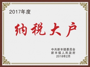 2017納稅大戶