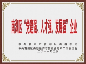 南湖區“黨建強、人才強、發展強”企業